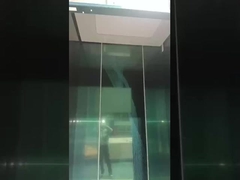 Thang máy khách cá nhân biệt thự 3 tầng bên ngoài Thang máy trong nhà